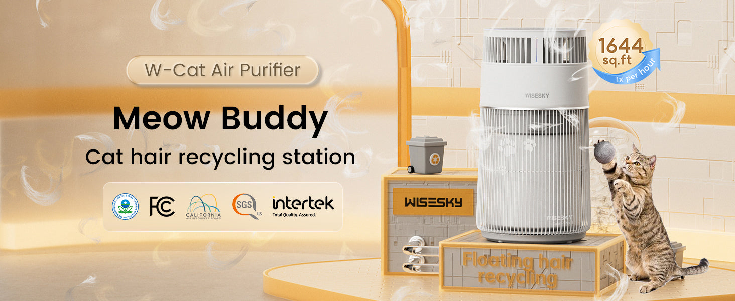 5 Best Air Purifiers for Cats in 2026 — Compared & Reviewed – WISESKY