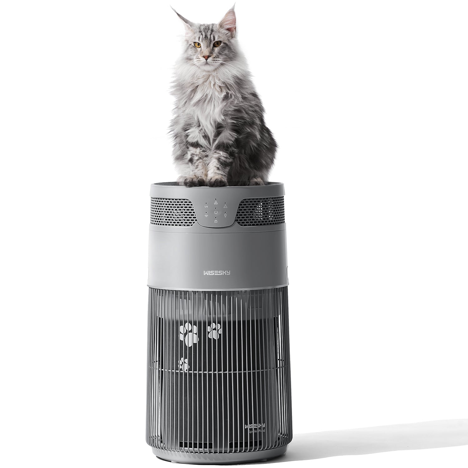 W-Cat Cat Air Purifier for Home | HEPA Pet Hair & Dander Remover | WISESKY