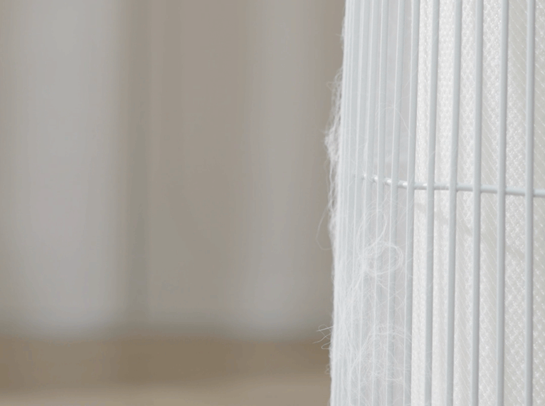 Clean Air Without Floating Cat Hair