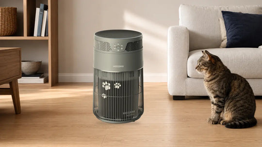 Cat calmly observing a gray W-Cat air purifier from a comfortable distance