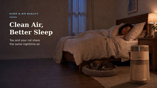 Infographic titled "The Nighttime Air You Share" showing cat dander, dust, litter particles, and VOCs in bedroom air — you and your cat share the same nighttime air