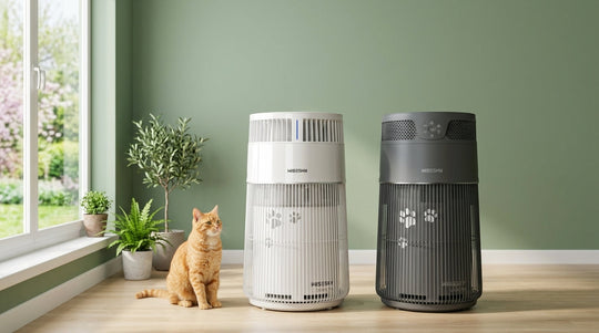 Why Your Cat Sheds More in May (And How to Manage the Aftermath)