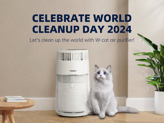 W-Cat air purifier keeping home clean and healthy for World Cleanup Day