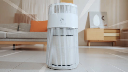 W-Cat air purifier freeing cat owners from cleaning floating cat hair