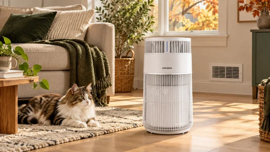 Why Does the Air Feel Dustier When the Heat Turns On? A Fall Guide for Cat Homes