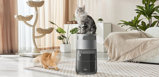 W-Cat pet air purifier HEPA filter maintenance and reset guide