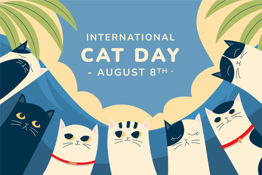 Happy cat celebrating International Cat Day with clean indoor air