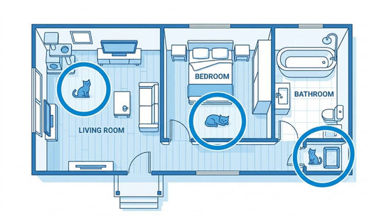 Multi-Cat Households: Where to Place Your Air Purifier for Maximum Effectiveness