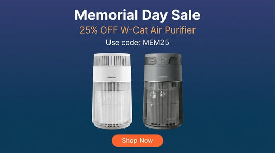 Asthma & Allergy Awareness Month: 7 Indoor Allergen Triggers Cat Owners Often Miss
