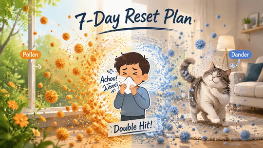 Spring Allergy + Cat Dander: A 7-Day Reset Plan for Allergy-Aware Cat Households