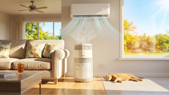 Summer living room with AC and air purifier running, cat lying on cool floor
