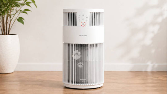 How to Reset the Filter Indicator on Your WiseSky W-Cat After Replacing the Composite Filter