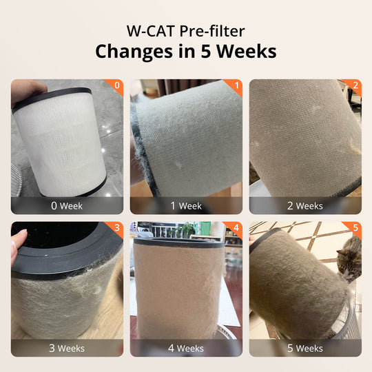 WISESKY W-Cat pet air purifier - a real cat owner allergy experience