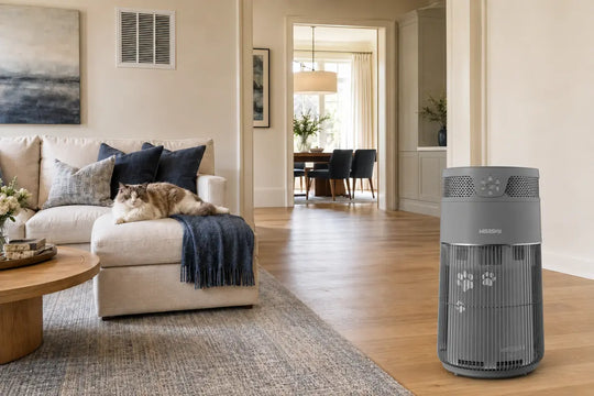 Portable Air Purifier vs. HVAC Filter: What Cat Owners Need to Know