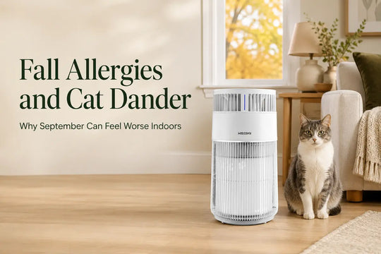 White W-Cat air purifier on open floor space in an early-fall living room shared with a cat.