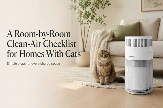 A Room-by-Room Clean-Air Checklist for Homes With Cats