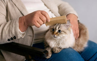 Navigating Shedding Season: How to Help Your Long-Haired Cat and Keep Your Home Fur-Free