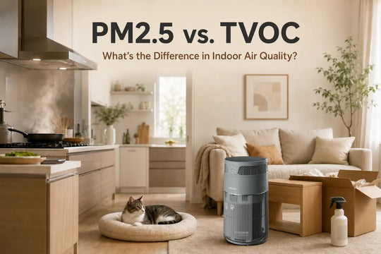 Comparison of common indoor PM2.5 and TVOC sources in a cat-friendly home.