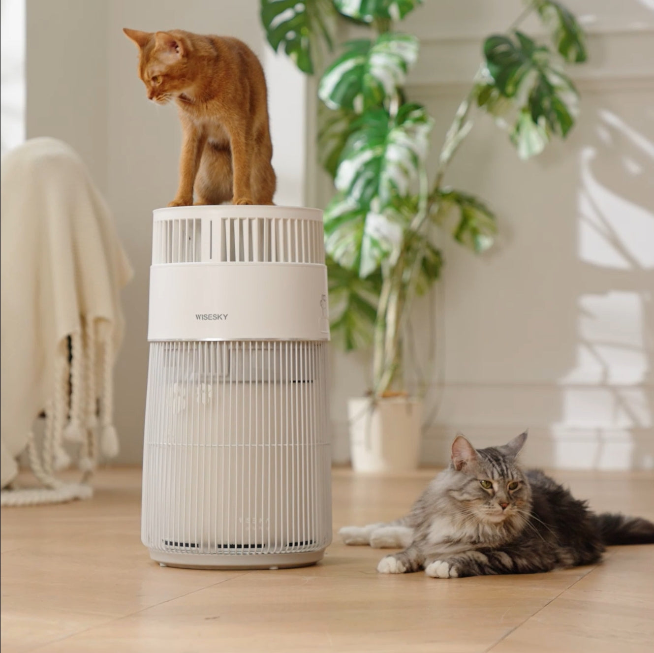 Wisesky W-cat Air Purifier for Home, 3-in-1 HEPA filter, covered 1644
