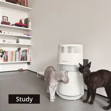 WISESKY Pet Air Purifier for Remove Cat Hair Odor Dander, 3-in-1 HEPA