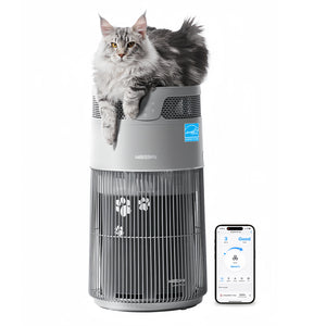 Noble Gray