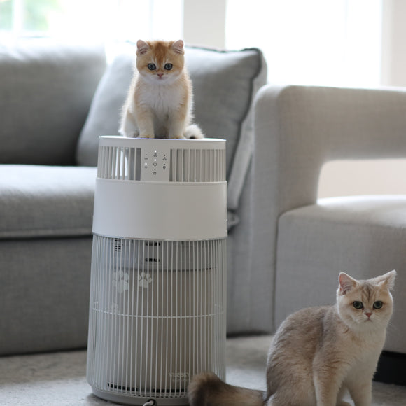 Wisesky W-cat Air Purifier for Home, 3-in-1 HEPA filter, covered 1644 ...