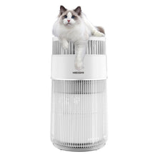 air purifier designed for cats